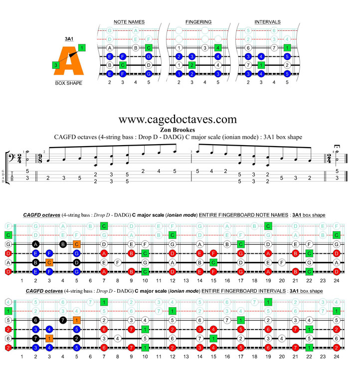 CAGFD octaves 4-string bass (Drop D - DAGD) C major scale (ionian mode) : 3A1 box shape