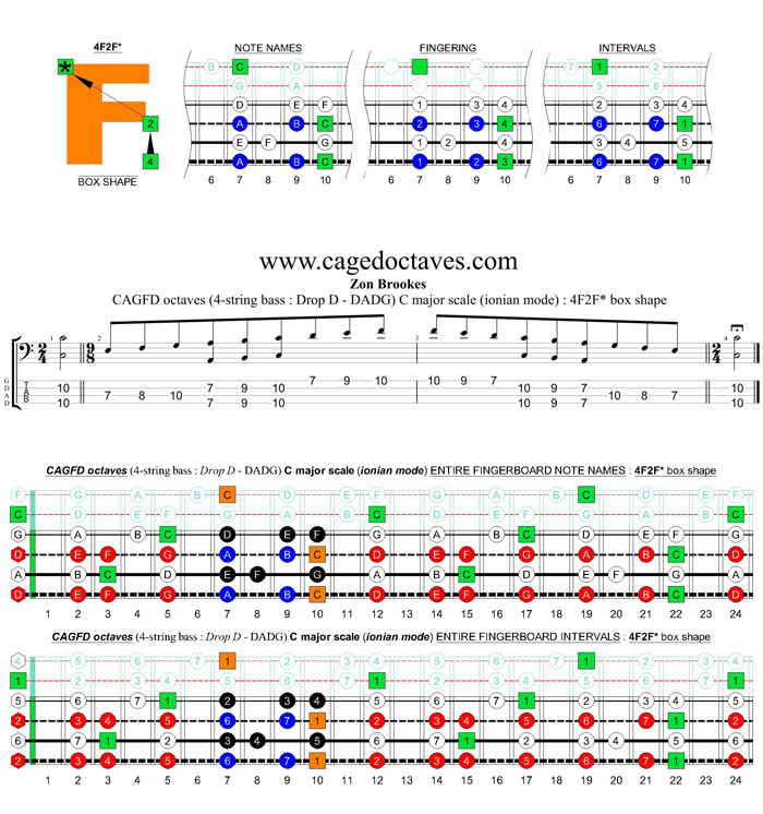 CAGFD octaves 4-string bass (Drop D - DAGD) C major scale (ionian mode) : 4F2F* box shape