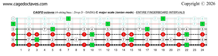 CAGFD octaves 4-string bass (Drop D - DAGD) C major scale (ionian mode) : entire fretboard intervals