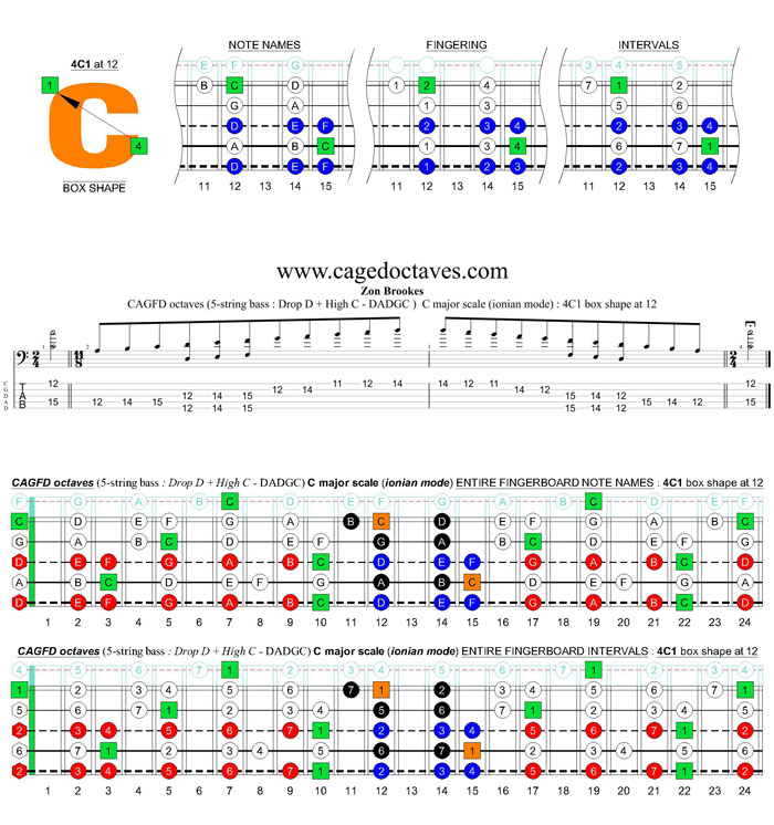 CAGFD octaves (5-string bass : Drop D + High C - DADGC) C major scale (ionian mode): 4C1 box shape at fret 12
