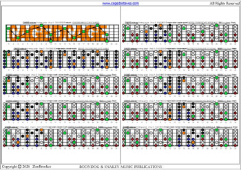 CAGED octaves (6-string guitar : Drop D - DADGBE) - C major scale (ionian mode) box shapes (3nps) : fretboard intervals