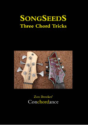 SONGSEEDS - Three chord Tricks cover